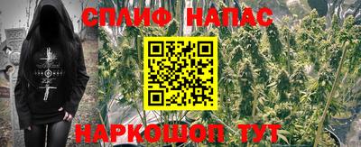 хмурый Краснодар