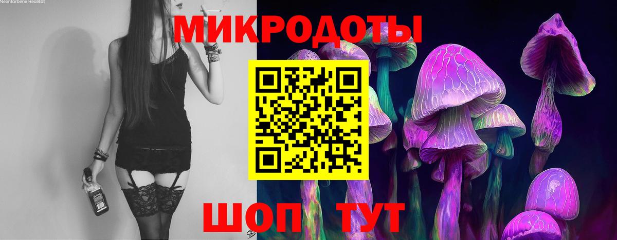 Галлюциногенные грибы мухоморы Жуковский